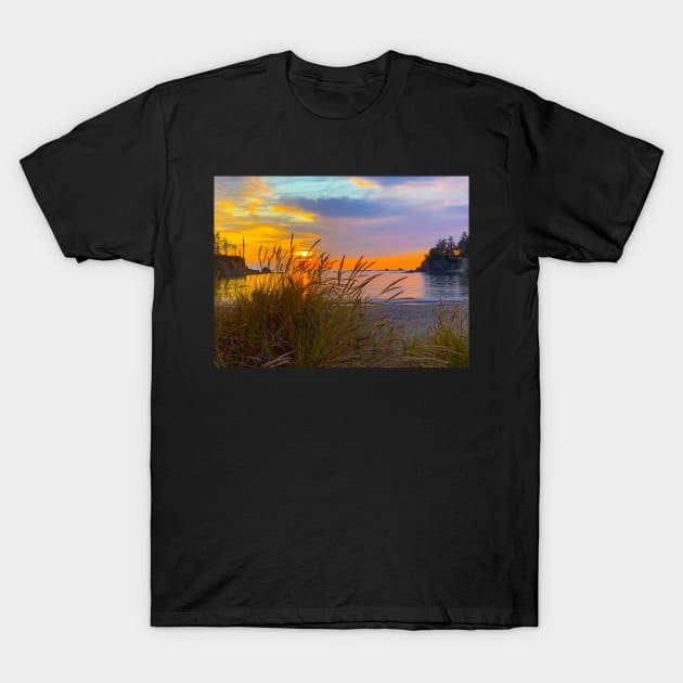 Sunset Bay State Park T-Shirt by Ckauzmann